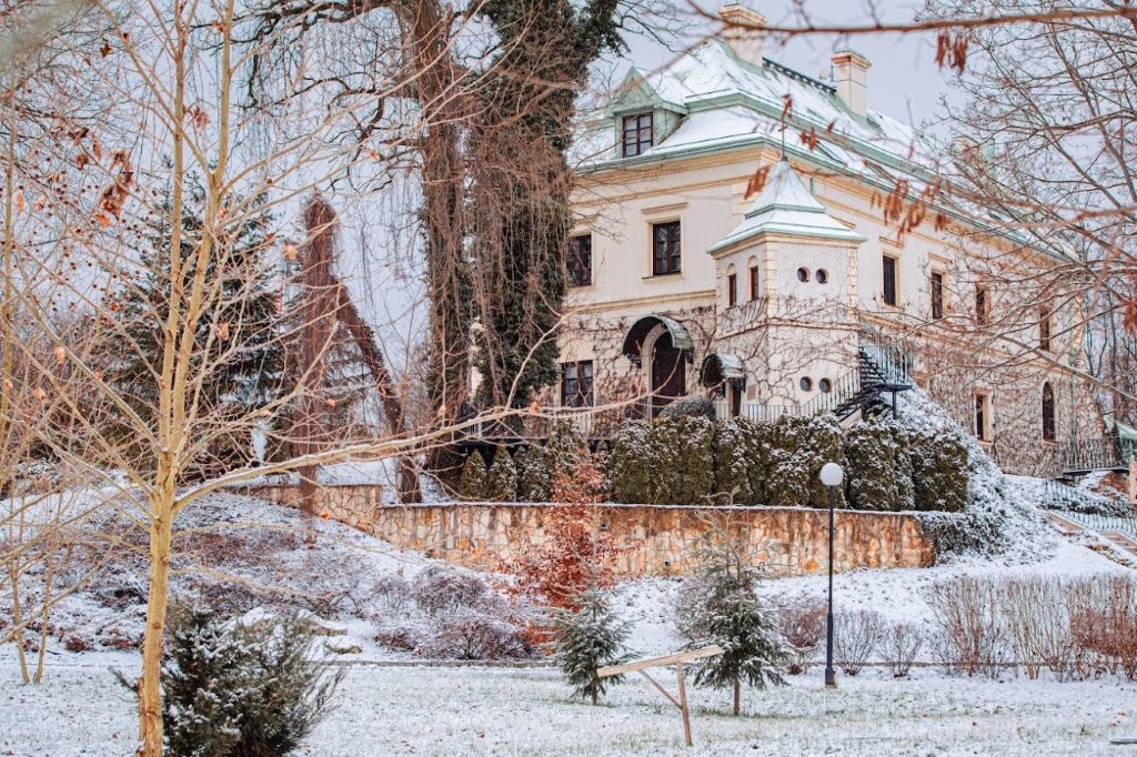 Palacio de Odrowąż en invierno