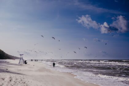 Paseos invernales junto al mar Linea Mare