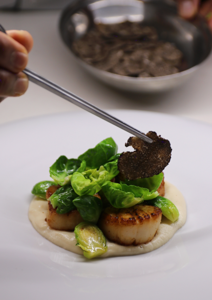 Proyecto sin nombre (4)