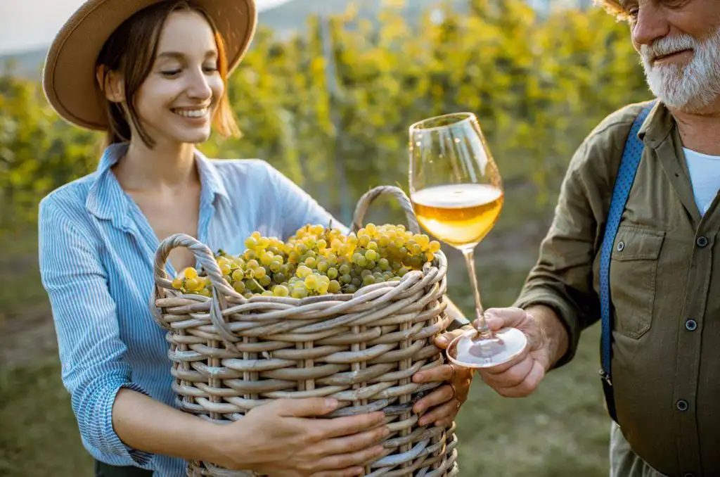 Digitalización del mercado del vino en Polonia Tecnologías, desafíos y futuro