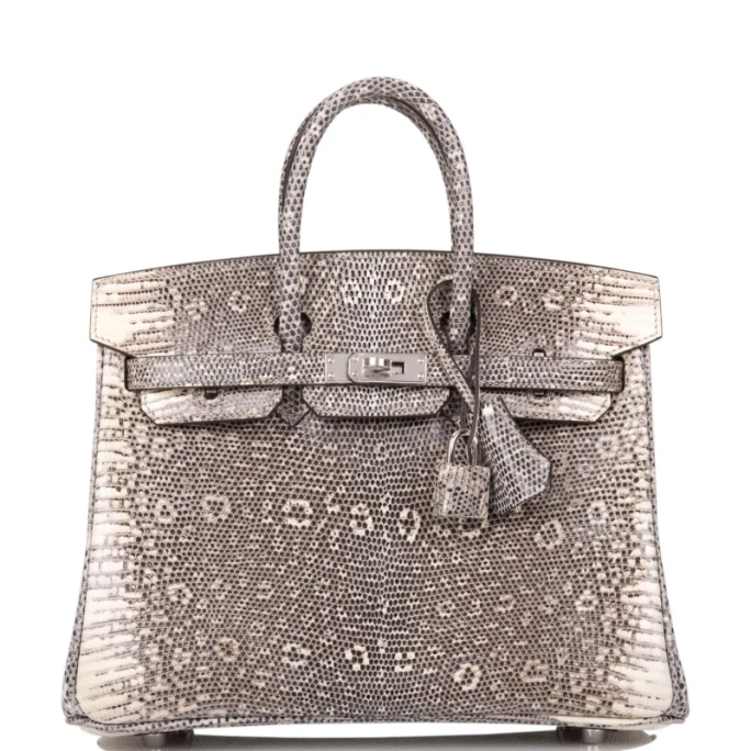 Hermes Vs Clientas Bolso Birkin5
