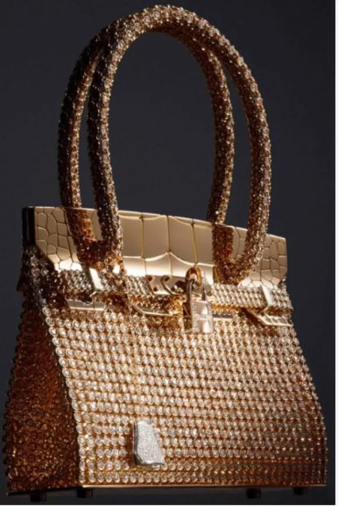 Hermes Vs Clientas Bolso Birkin6