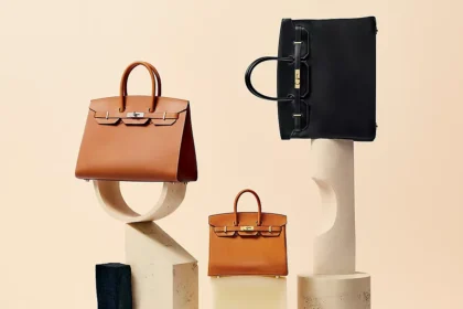 Hermes Vs Clientas Bolso Birkin8