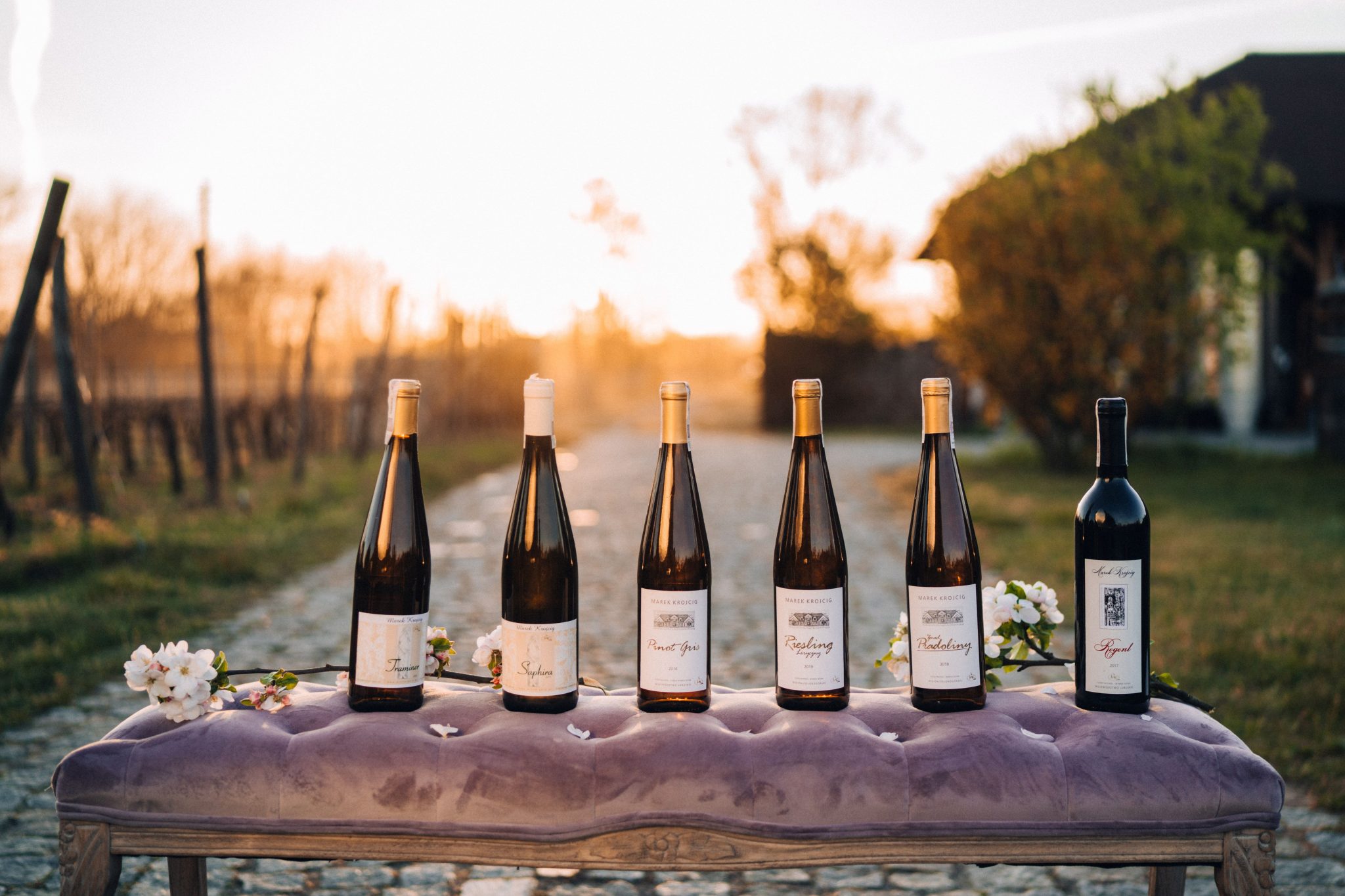 Vi&ntilde;edos en Zielona G&oacute;ra