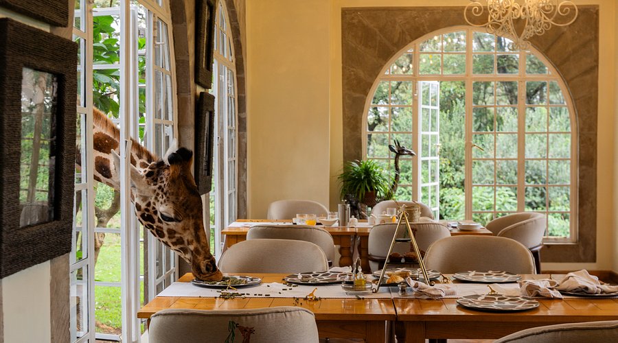 Top 5 Hoteles Más Extraños Del Mundo7